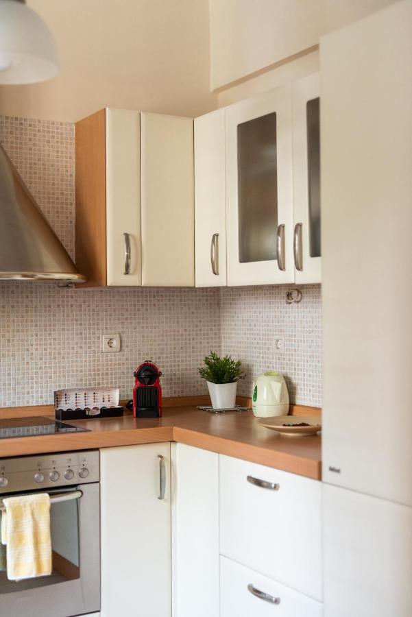 Two Bedroom Apt In Syntagma - Ermou Area Atene Esterno foto